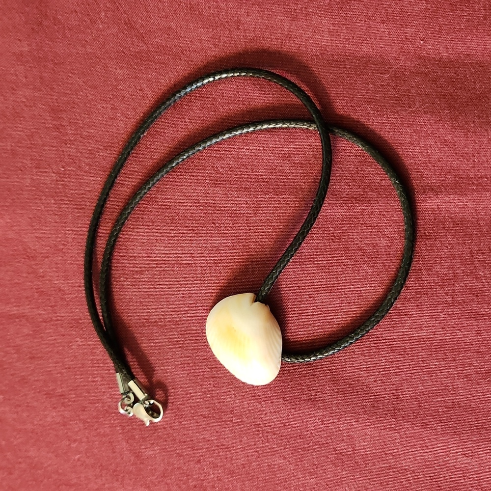 Short Shell Necklace